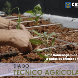 CREA-PE comemora hoje, o Dia do Técnico Agrícola